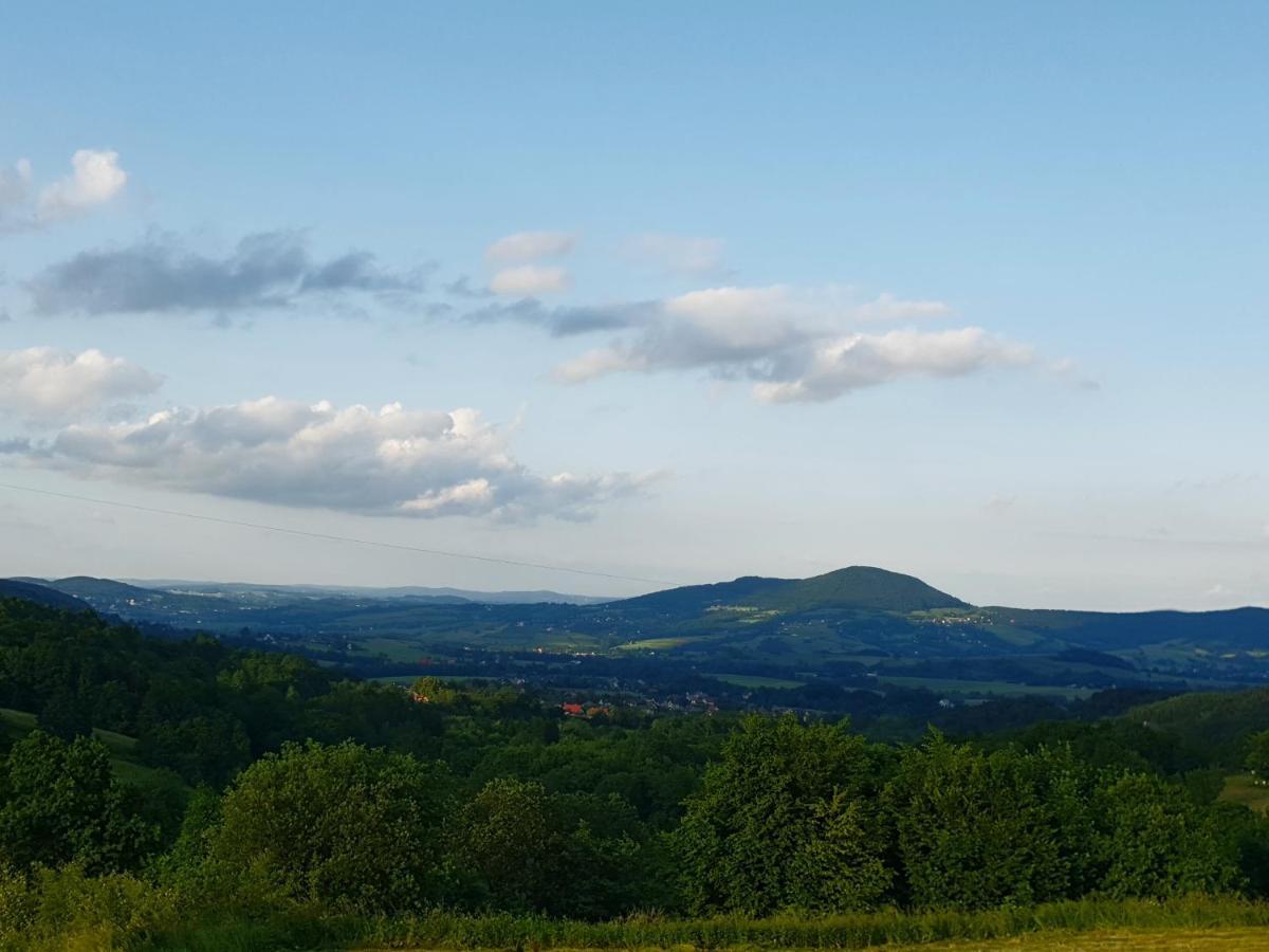 Zasankowe Wzgorze Villa Bagian luar foto