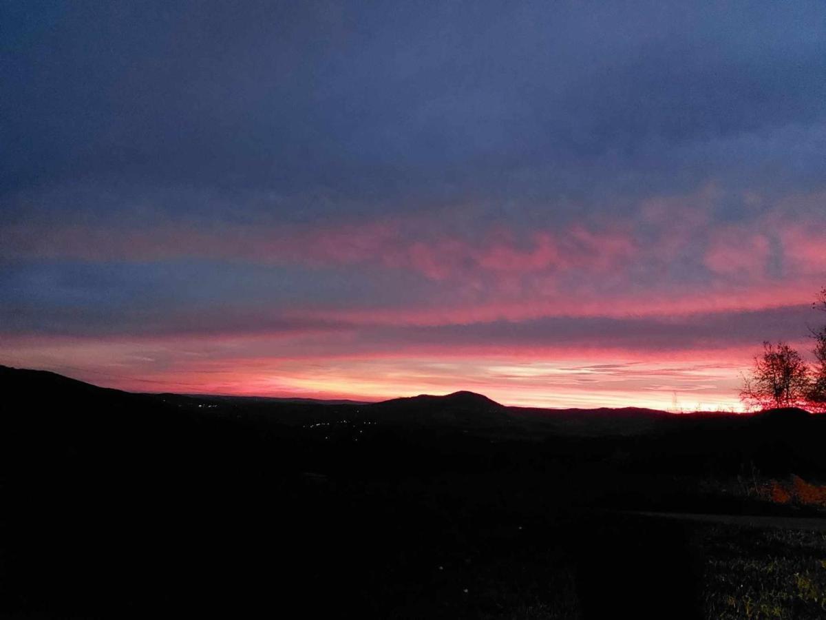 Zasankowe Wzgorze Villa Bagian luar foto